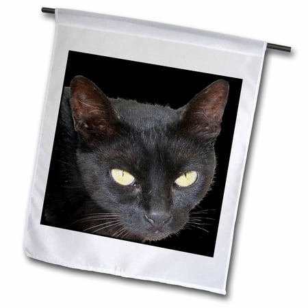 3dRose, Black Cat A close up photographic portrait of a halloween black cat with yellow eyes, 12 x 18 inch Garden Flag