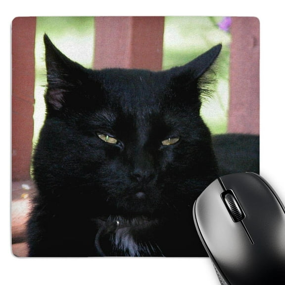 3dRose, Black Cat, MousePad