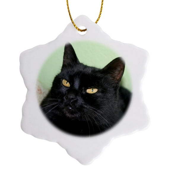 3drose, Black Cat Portrait a Black Cat Posing Against a Green Wall with Striking Yellow Eyes, 3 inch Snowflake Porcelain Ornament