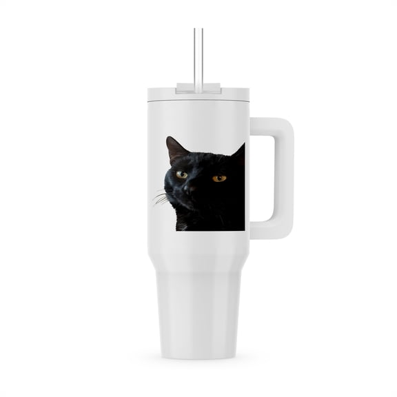 Black Cat With A Funny Quirky Expression Cut Out, 40oz Tumbler