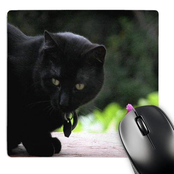 3dRose, Black Cat with Flower, MousePad