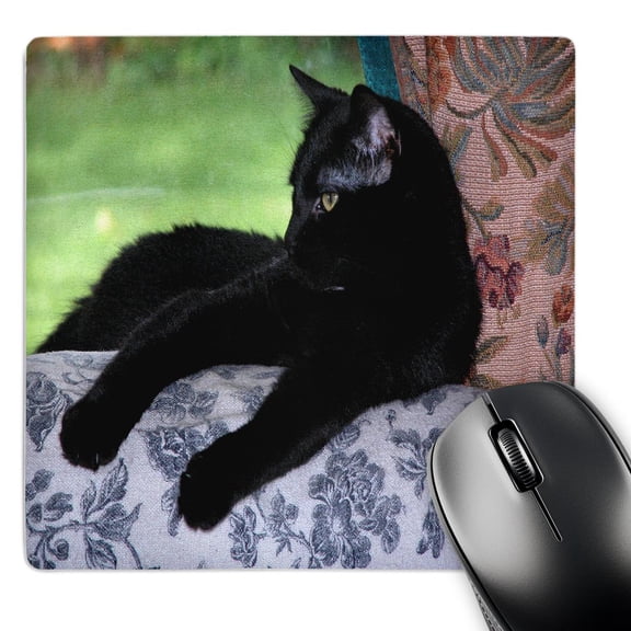 3dRose, Black Kitten on the Back of the Couch, MousePad