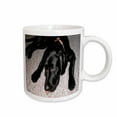 thumbnail image 1 of 3drose, Black Lab Eating Grape, 11oz Mug, 1 of 6