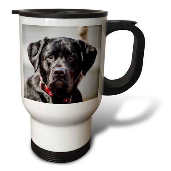 3drose, Black Lab Pet Dog Labrador Retriever Photo, 14oz Stainless Steel Travel Mug