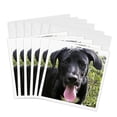 thumbnail image 1 of 3drose, Black Labrador Puppy, 6 Greeting Cards with Envelopes, 1 of 7
