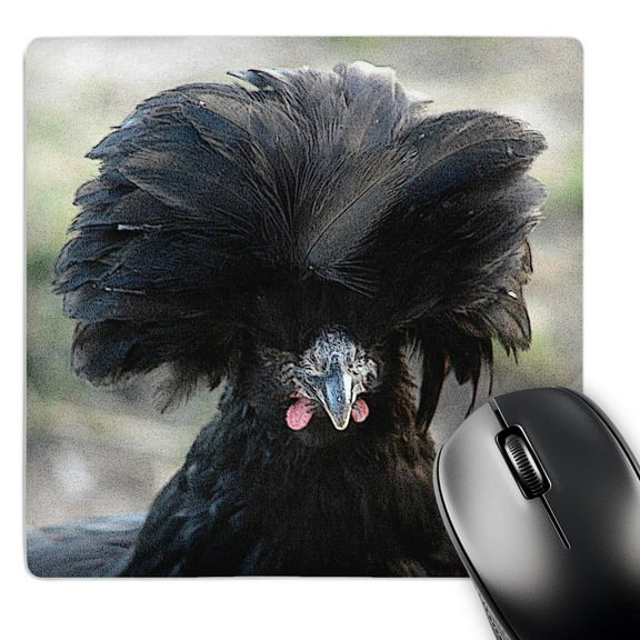 3dRose, Black Polish Hen, MousePad