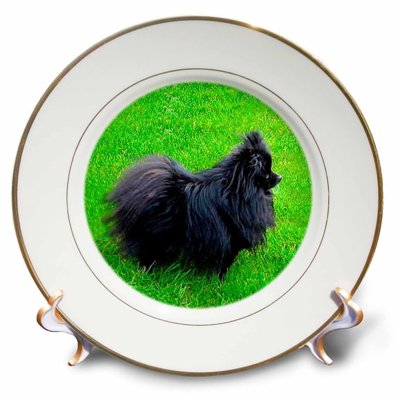 3dRose, Black Pomeranian, 8 inch Porcelain Plate