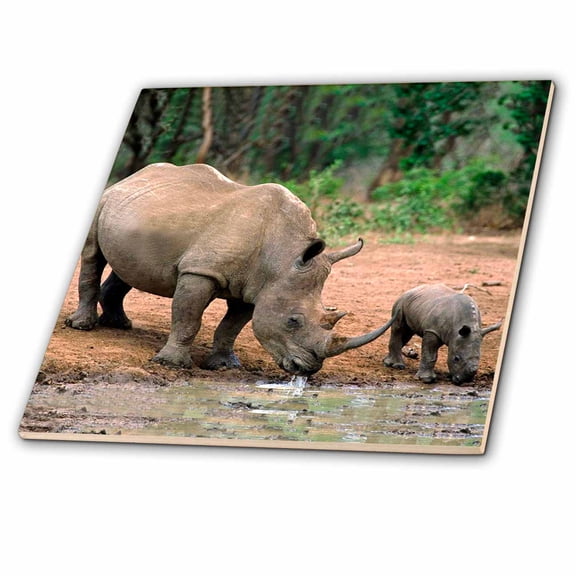 3dRose, Black Rhino, Rhinoceros, 8 Inch Ceramic Tile
