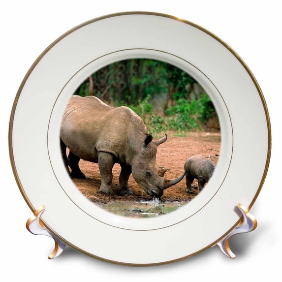 3dRose, Black Rhino, Rhinoceros, 8 inch Porcelain Plate