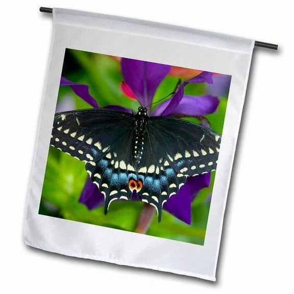 3dRose, Black Swallowtail Butterfly, Papilio polyxenes, 18 x 27 inch Garden Flag