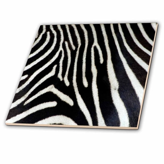 3dRose, Black and White Zebra Animal Print, 8 Inch Ceramic Tile