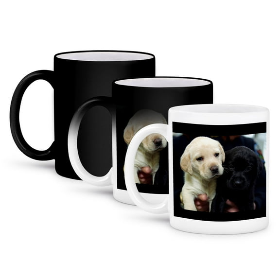 3dRose, Black and Yellow Lab Puppies, 11oz Magic Transforming Mug