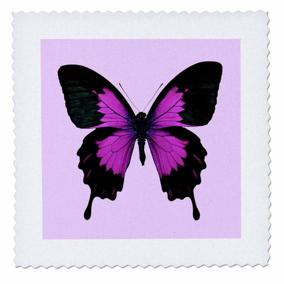 3dRose, Black and hot pink butterfly. Pink background. Dcor., 12x12 inch quilt square