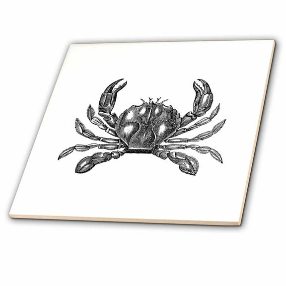 3dRose, Black and white crab illustration - nautical beach sea ocean theme, 4 Inch Ceramic Tile