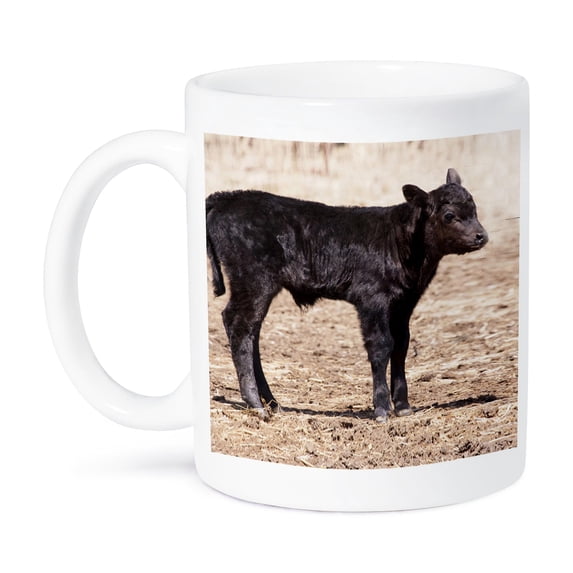 3dRose, Black angus cow standing in pasture - NA02 PWO0002 - PiperAnne Worcester, 11oz Mug