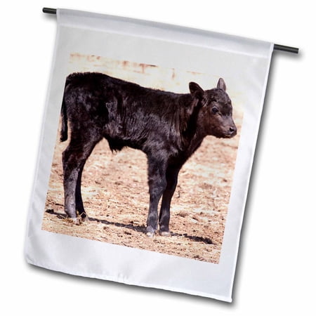 3dRose, Black angus cow standing in pasture - NA02 PWO0002 - PiperAnne Worcester, 18 x 27 inch Garden Flag