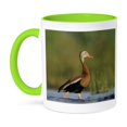 thumbnail image 1 of 3dRose, Black-bellied Whistling-Duck, Corpus Christi, TX - NA02 RNU0372 - Rolf Nussbaumer, 11oz Two-Tone Green Mug, 1 of 7