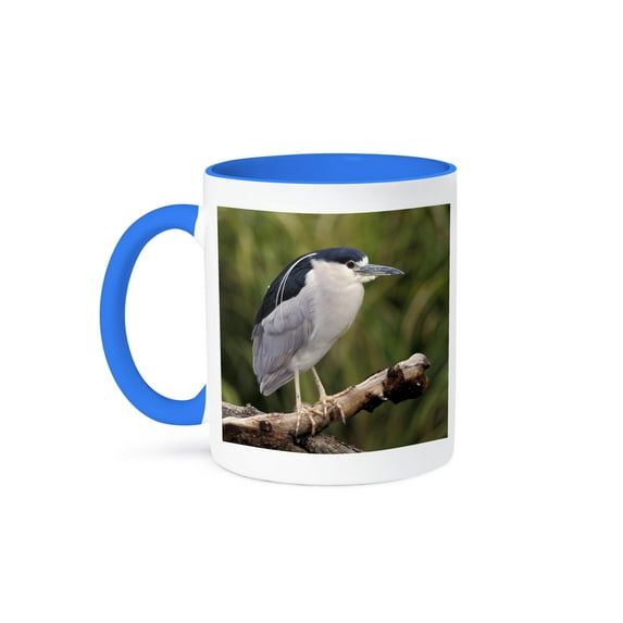 Black-Crowned Night Heron Bird - Na02 Aje0228 - Adam Jones, 15oz Two-Tone Blue Mug