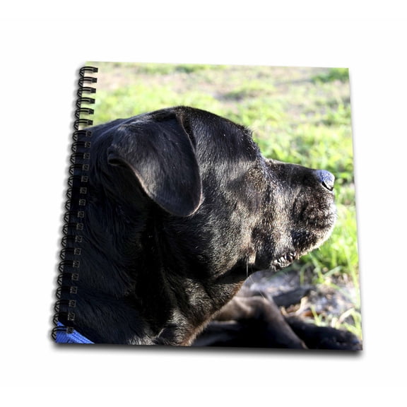 3dRose, Black lab dog head view turned away, Mini Notepad 4 x 4 inch
