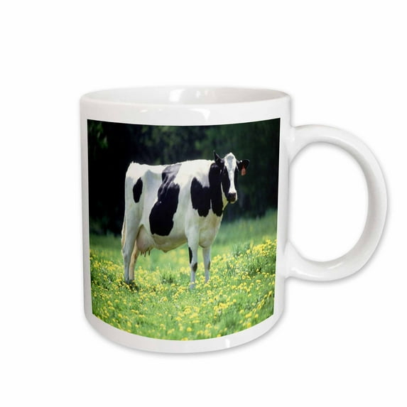 3drose, Black N White Cow on Grass, 11oz Mug