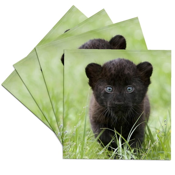 3dRose, Black panther Cub, Set of 4 Ceramic Tile Coasters