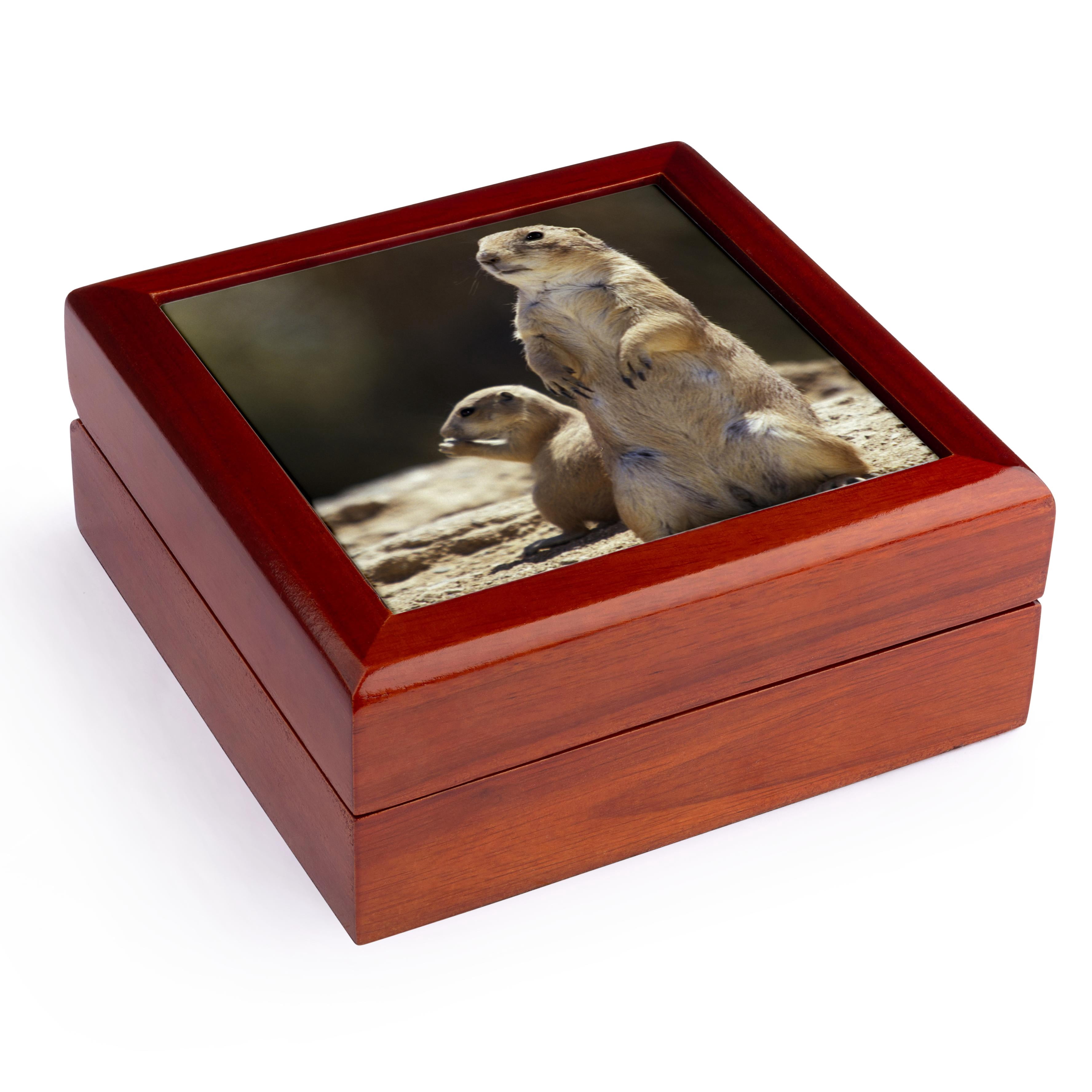 3dRose, Black-tailed Prairie dog wildlife, Arizona - US03 JME0034 - John and Lisa Merrill, Jewelry Box 5.5x5.5 inch with 4 inch tile