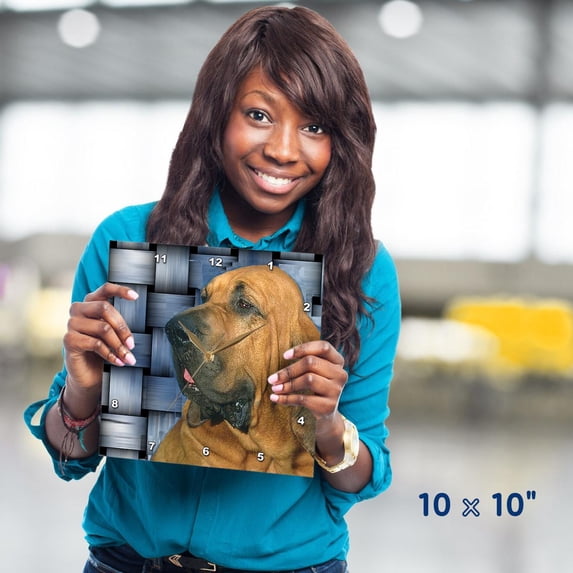3dRose, Bloodhound, 10x10 Wall Clock