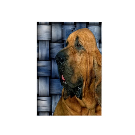 3dRose, Bloodhound, 15x22 Hand Towel