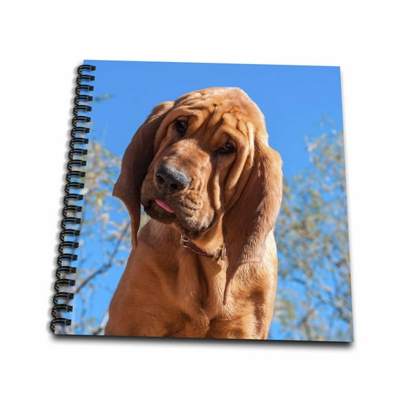 3dRose, Bloodhound puppy, MR, Mini Notepad 4 x 4 inch
