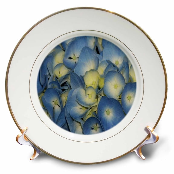 3dRose, Blue And Yellow Hydrangea , 8 inch Porcelain Plate