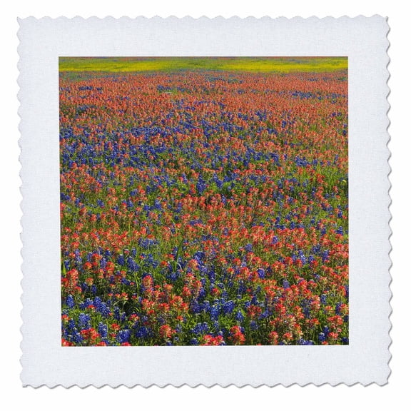 3dRose, Blue Bonnets, Indian Paintbrush, Texas Hill Country - US44 DGU0187 - Darrell Gulin, 14x14 inch quilt square