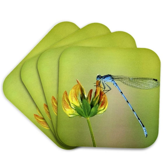 3drose, Blue Dragonfly, Set of 4 Coasters - Soft