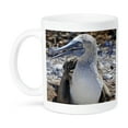 thumbnail image 1 of 3dRose, Blue-Footed Booby,Sula nebouxii excisa,, 11oz Mug, 1 of 7