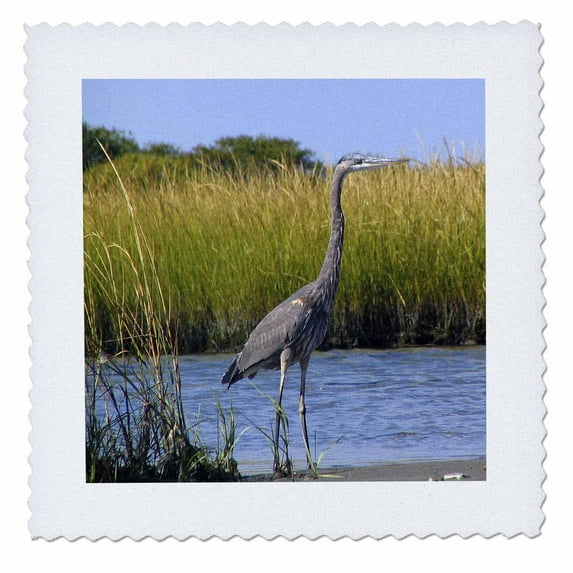 3dRose, Blue Heron, 10x10 inch quilt square