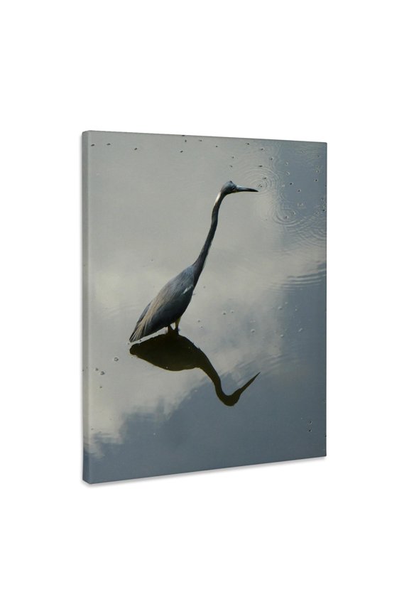 , Blue Heron Reflects, Museum Grade Canvas Wrap 11x14