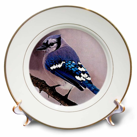 3dRose, Blue Jay, 8 inch Porcelain Plate