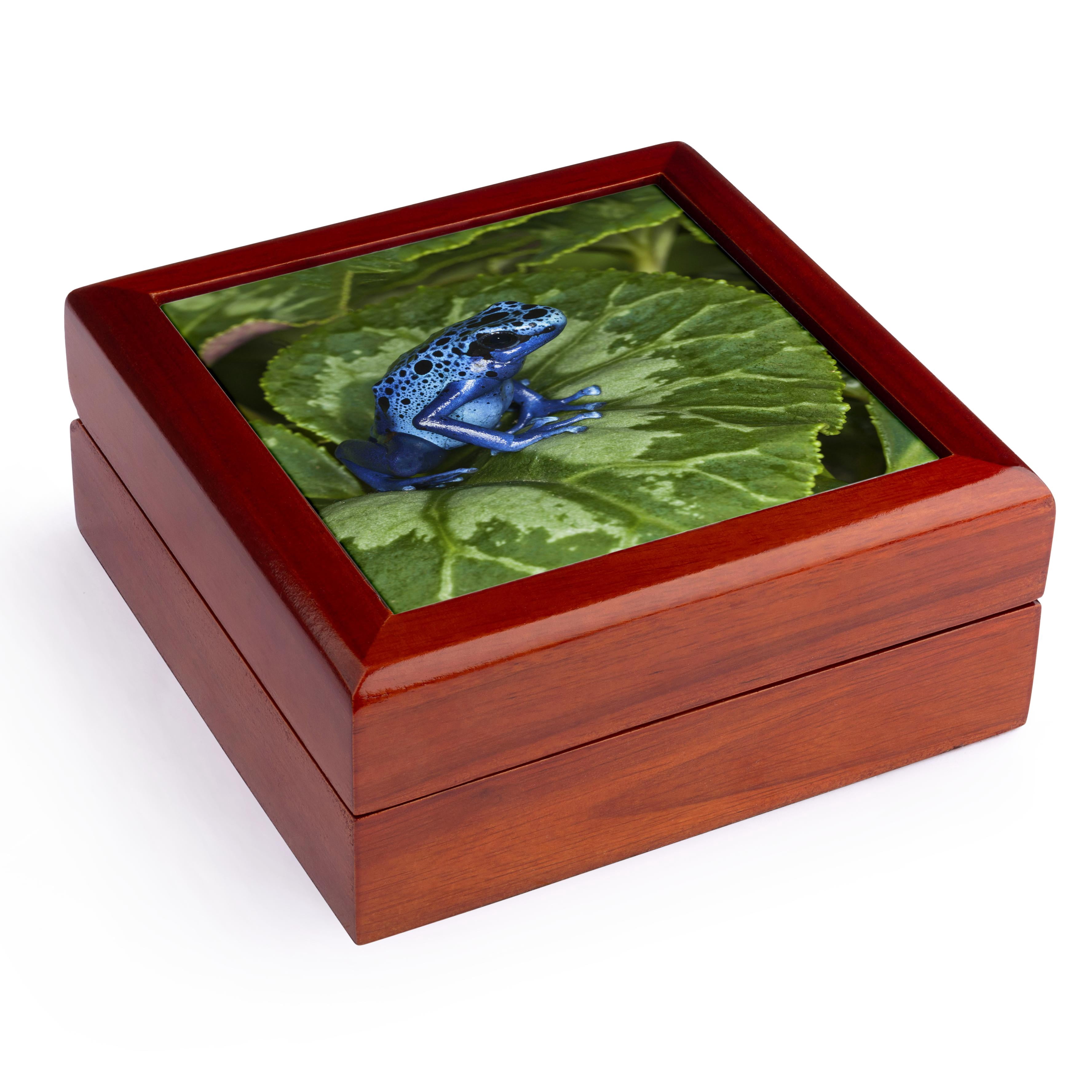 3dRose, Blue Poison Dart Frog, Surinam - SA18 AJE0002 - Adam Jones, Jewelry Box 5.5x5.5 inch with 4 inch tile