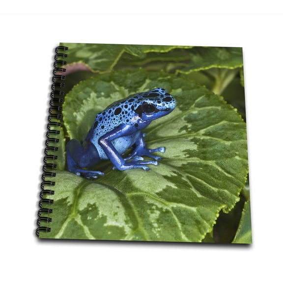 3dRose, Blue Poison Dart Frog, Surinam - SA18 AJE0002 - Adam Jones, Mini Notepad 4 x 4 inch
