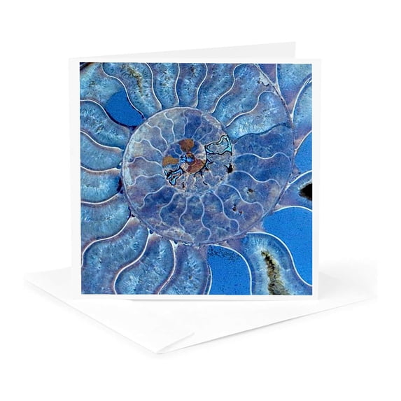 3drose, Blue Seashell-mother-of-pearl Closeup, 1 Greeting Card with Envelope