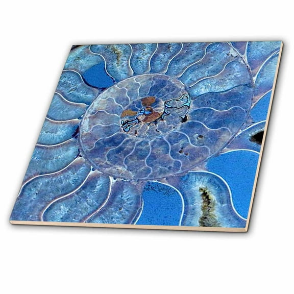 3dRose, Blue Seashell-Mother-of-Pearl Closeup, 12 Inch Ceramic Tile