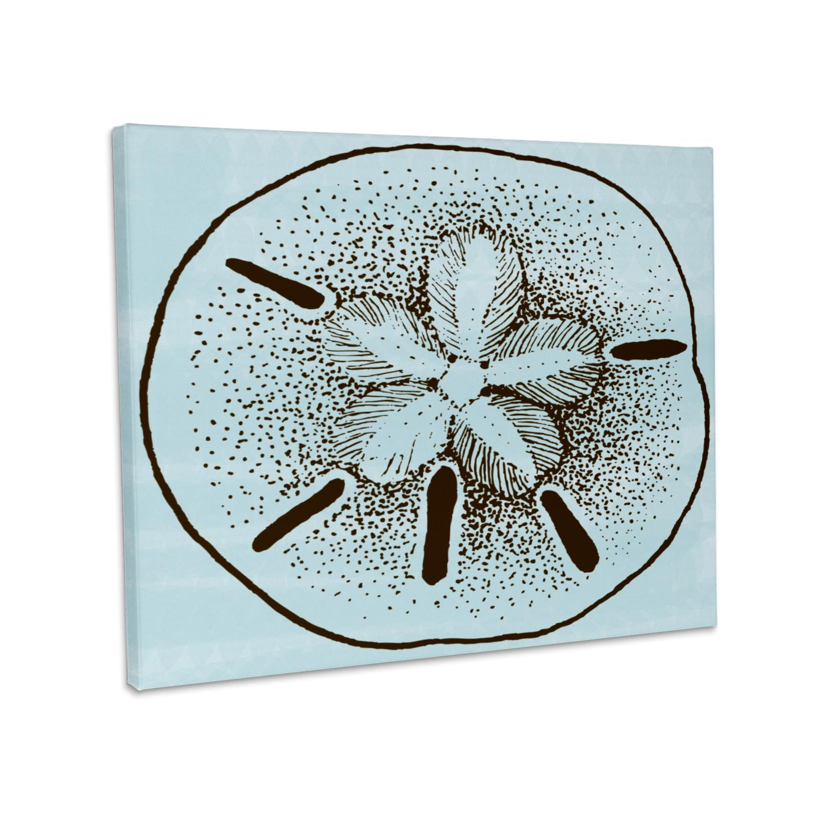 3dRose, Blue and Brown Sand Dollar- Shells- Beach Theme Art, Museum ...