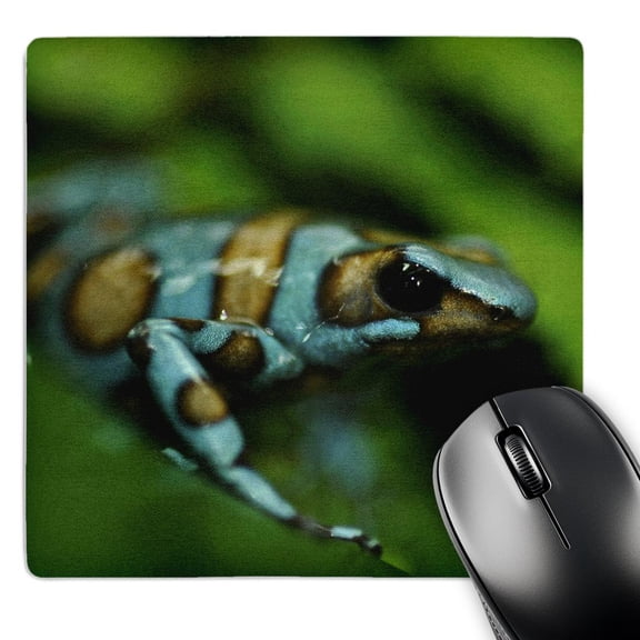3dRose, Blue n brown tree frog on a leaf, MousePad