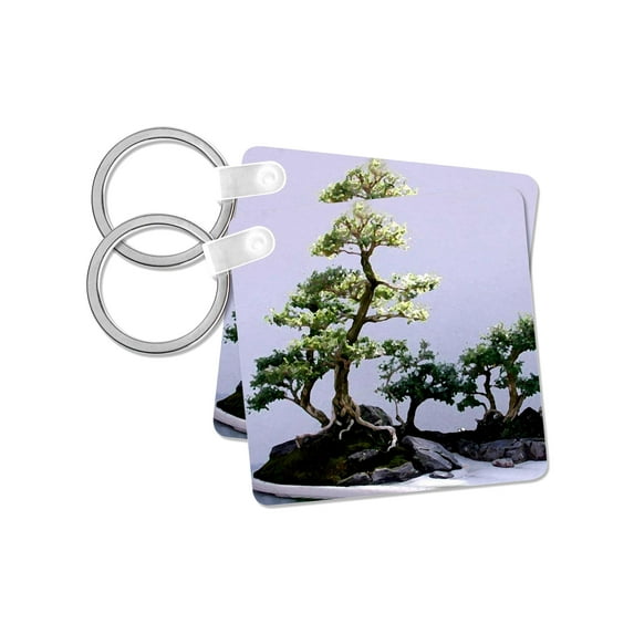 3dRose, Bonsai Tree, set of 2 Key Chains