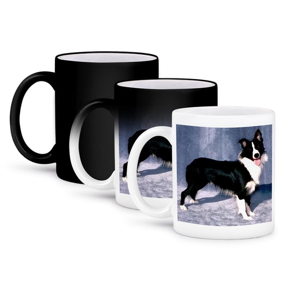 3dRose, Border Collie, 11oz Magic Transforming Mug