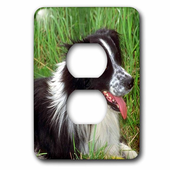 3dRose, Border Collie, 2 plug outlet cover
