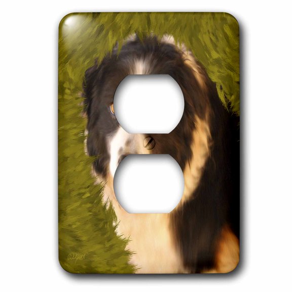 3dRose, Border Collie, 2 plug outlet cover