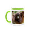 thumbnail image 1 of 3dRose, Bornean Orangutan primate, Borneo, Malaysia - AS23 CMI0182 - Cindy Miller Hopkins, 11oz Two-Tone Green Mug, 1 of 7