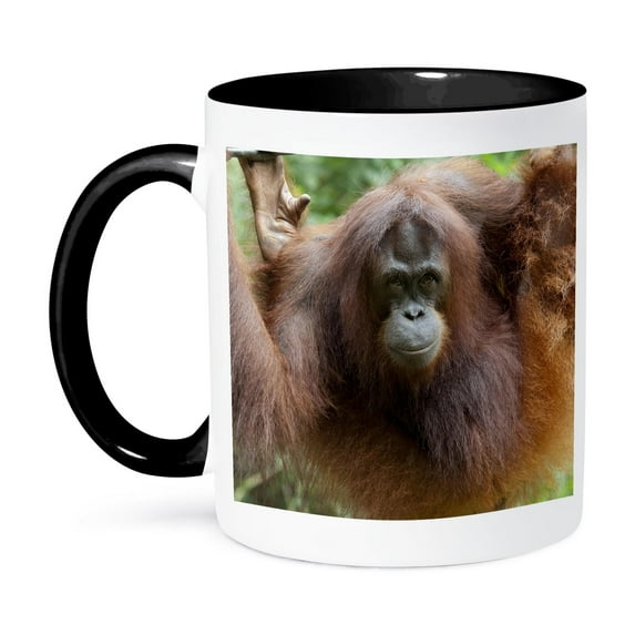 3dRose, Bornean Orangutan primate, Borneo, Malaysia - AS23 CMI0182 - Cindy Miller Hopkins, 15oz Two-Tone Black Mug