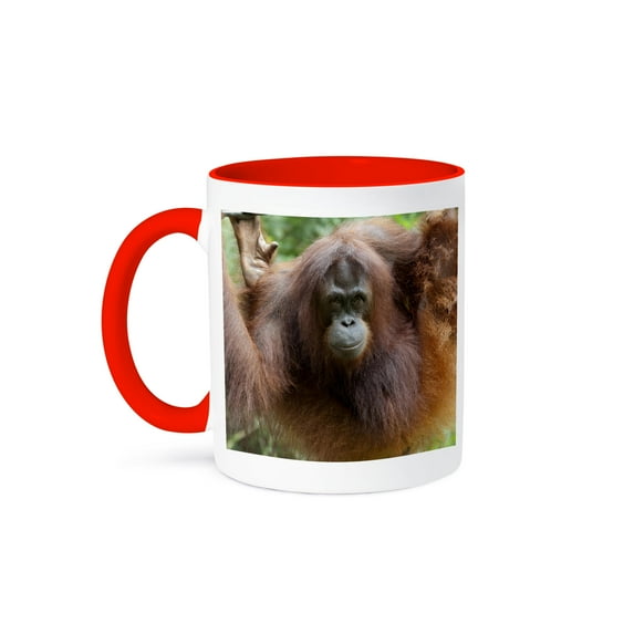 3dRose, Bornean Orangutan primate, Borneo, Malaysia - AS23 CMI0182 - Cindy Miller Hopkins, 15oz Two-Tone Red Mug