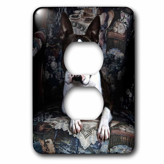 3dRose, Boston Terrier Philippe, 2 plug outlet cover
